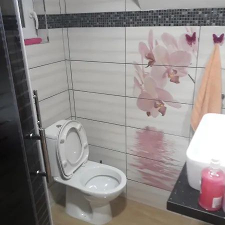 Apartman Darija Vrdnik Exterior photo