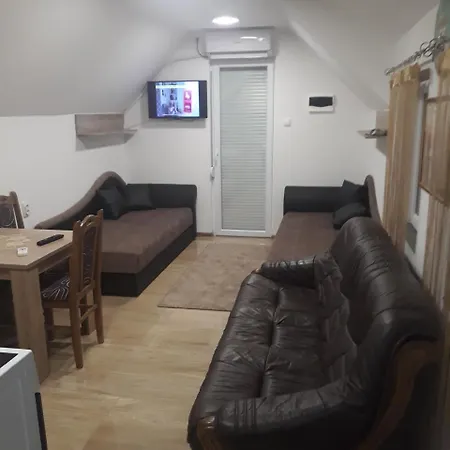 Apartman Darija Vrdnik Exterior photo