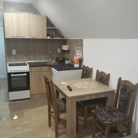 Apartman Darija Vrdnik Exterior photo