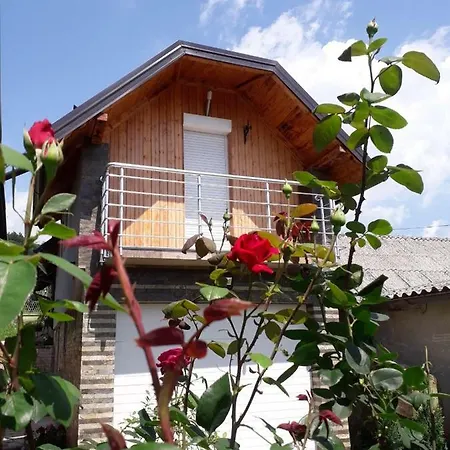 Apartman Darija Vrdnik Exterior photo
