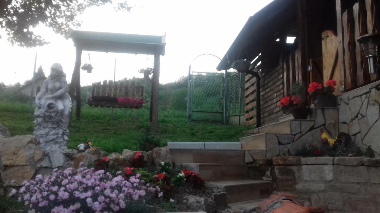 Darija Vrdnik